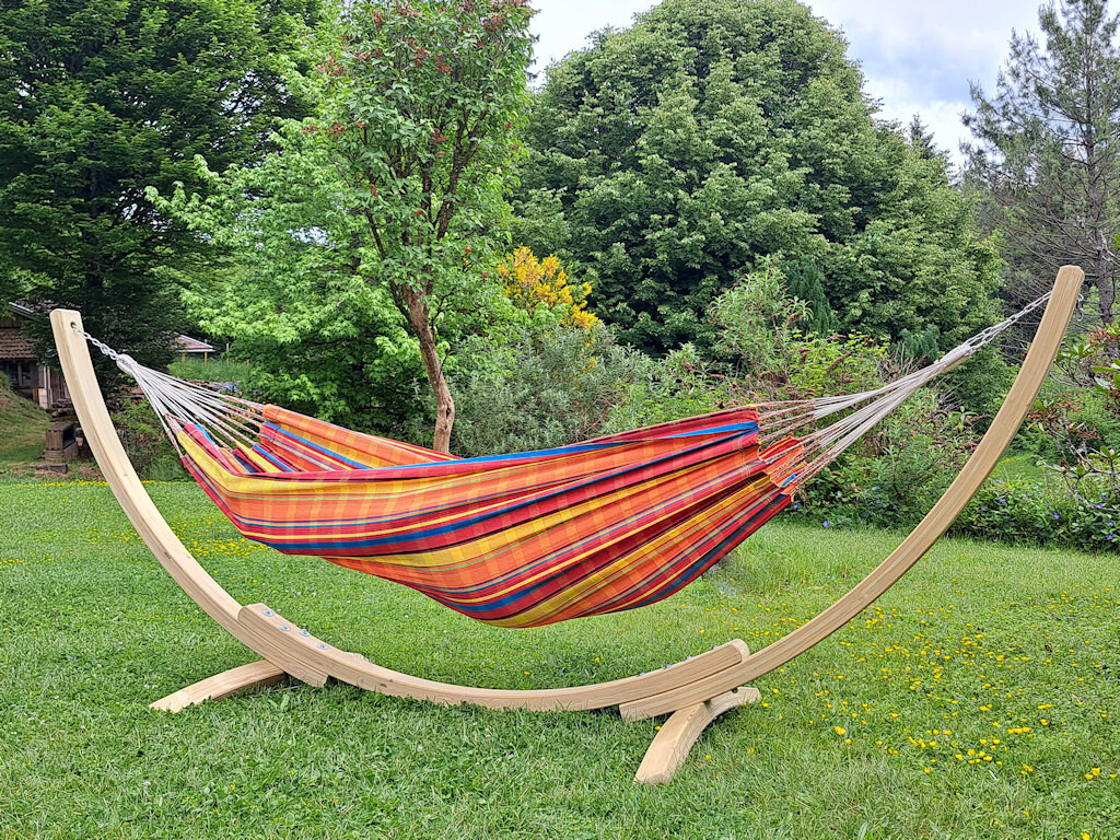 Support Apollo + solo Zinnia