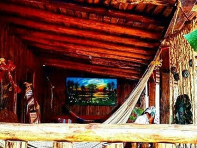 La Maison du Hamac évolue : découvrez notre nouveau site